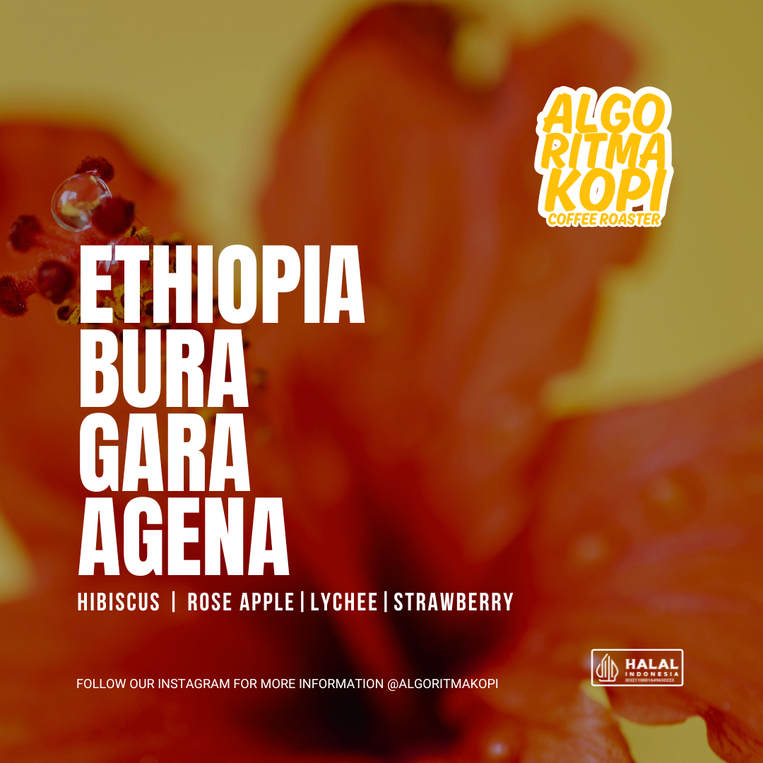 Ethiopia Bura Gara Agena Roasted by AlgoritmaKopi